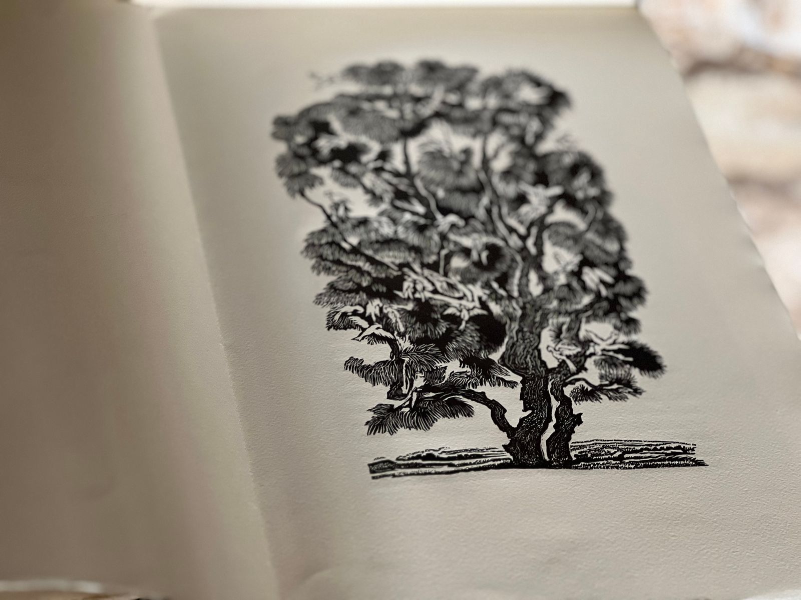 Histoires insolites & Contes - Auguste de Villiers de l'Isle-Adam - 1954 | Exemplaire numéroté (n° 1139) d'une édition bibliophilique de luxe tirée sur papier pur chiffon BEK des Papeteries de Rives, assurant une conservation optimale et une présentation d'une rare noblesse matérielle. | Aufildeslivres.fr