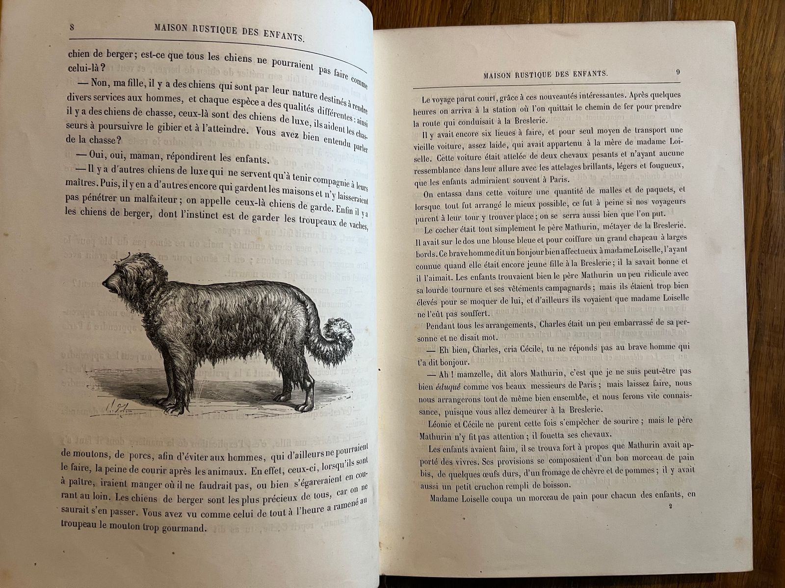 Maison Rustique des Enfants - Mme Millet-Robinet - 1850 | Témoignage précieux de la transmission des savoirs agricoles et domestiques aux jeunes générations au XIXe siècle | Aufildeslivres.fr