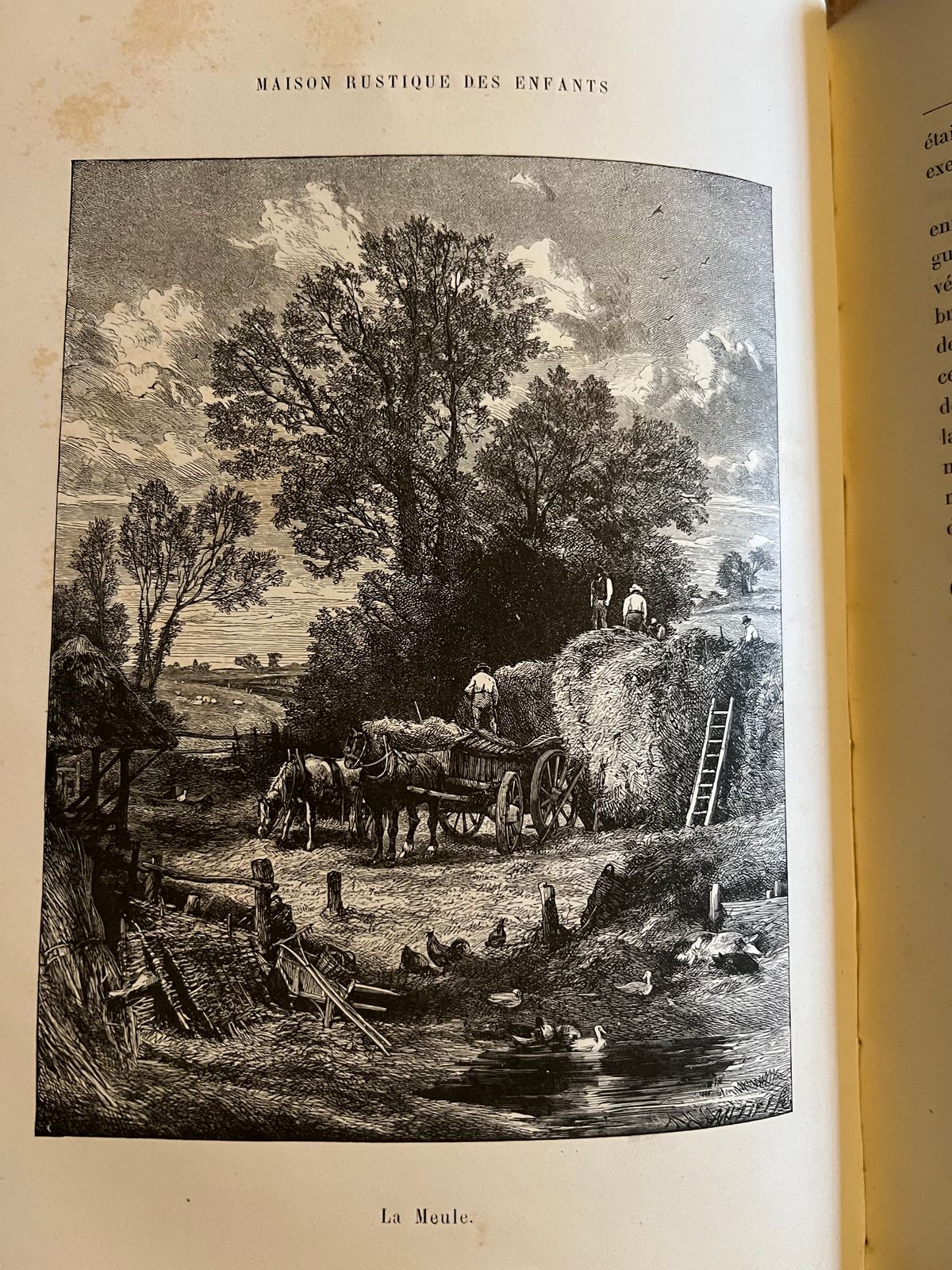 Maison Rustique des Enfants - Mme Millet-Robinet - 1850 | Document rare illustrant l'histoire de l'enfance, de l'éducation pratique et de la vie rurale française | Aufildeslivres.fr