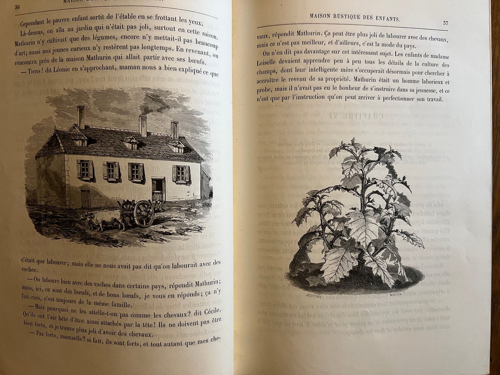 Maison Rustique des Enfants - Mme Millet-Robinet - 1850 | Impression parisienne de qualité par l'établissement Simon Raçon et Compagnie, imprimeurs réputés de l'époque | Aufildeslivres.fr