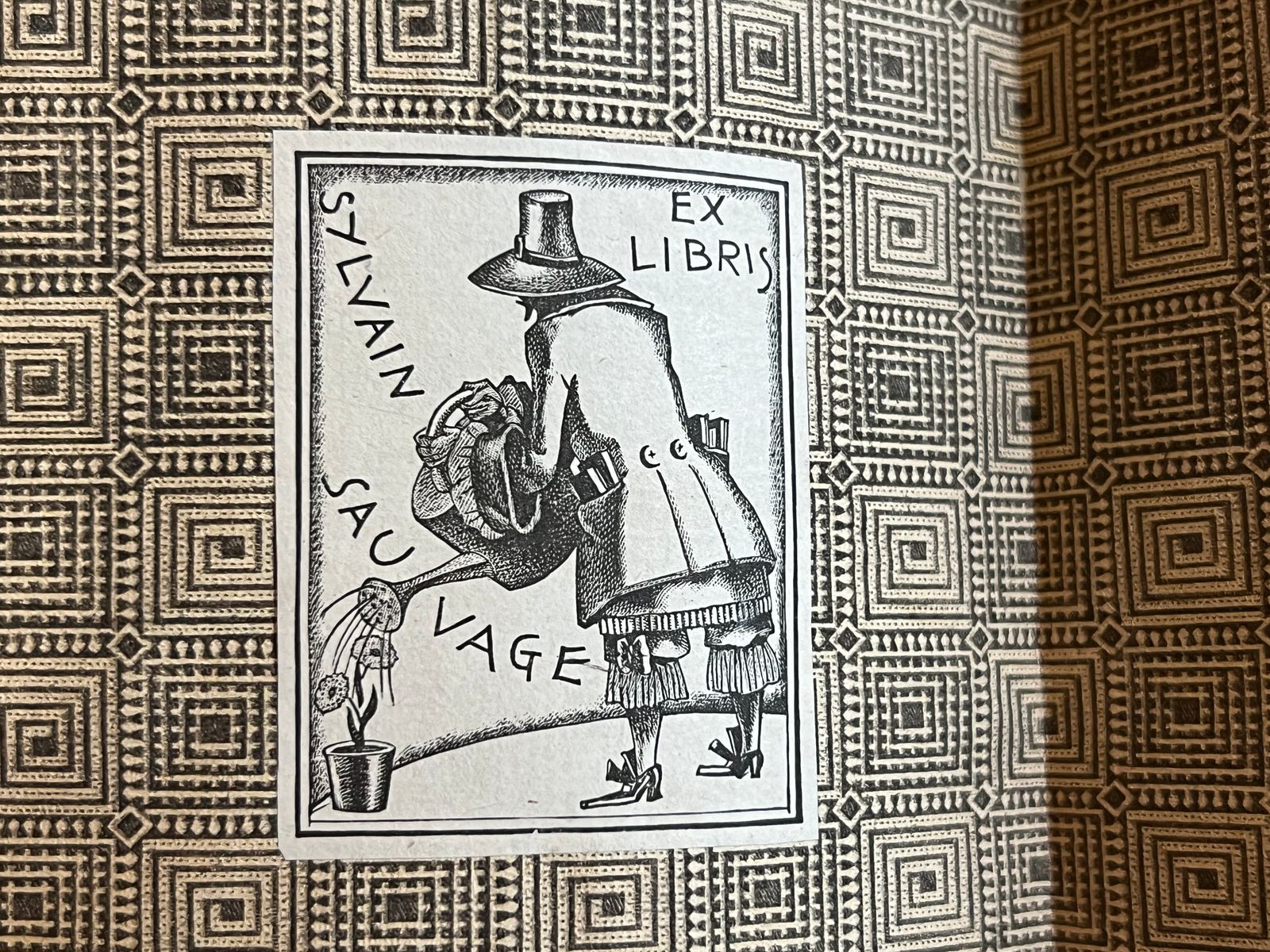 Le Maître de Ballantrae - Robert Louis Stevenson - 1920 | Traduction remarquable de Théo Varlet, traducteur réputé d'Edgar Allan Poe et des grands auteurs anglo-saxons | Aufildeslivres.fr
