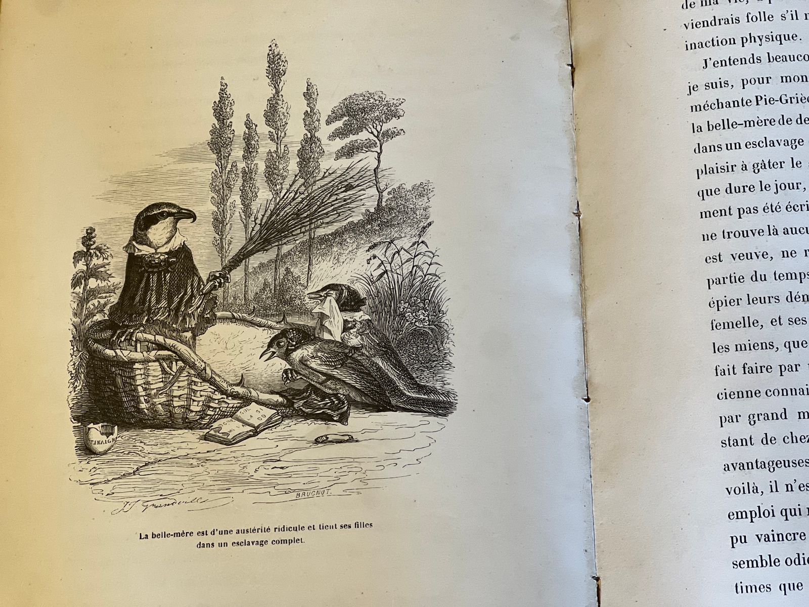 Scènes de la vie privée et publique des animaux - Tome II - Grandville - 1842 | Une lecture universelle et intemporelle | Aufildeslivres.fr