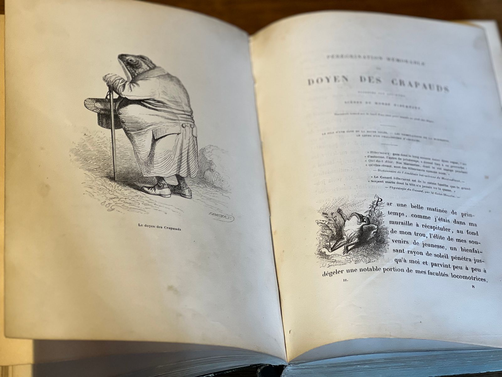 Scènes de la vie privée et publique des animaux - Tome II - Grandville - 1842 | Illustrations originales et gravures de qualité | Aufildeslivres.fr