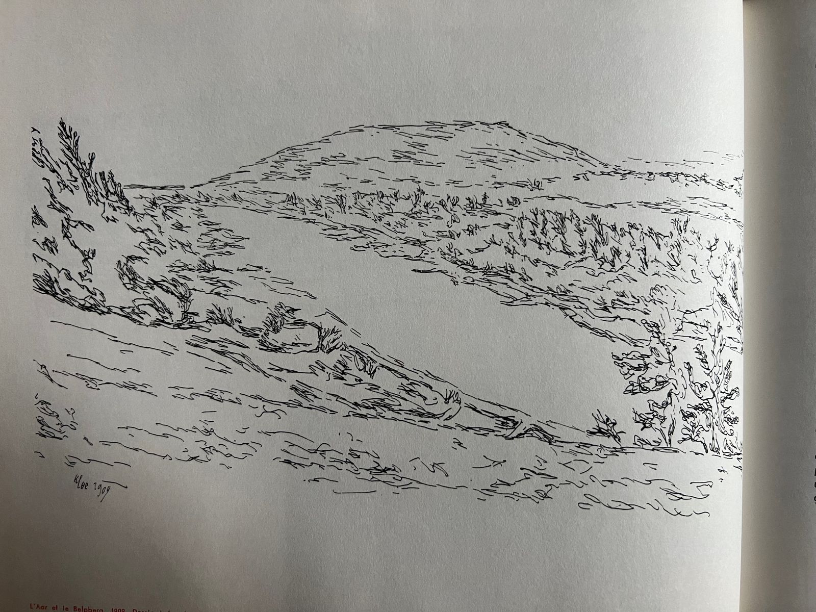 Paul Klee - Félix Klee - 1963 | Volume de la prestigieuse collection « Destins de l'art » dirigée par Bernard Gheerbrant | Aufildeslivres.fr