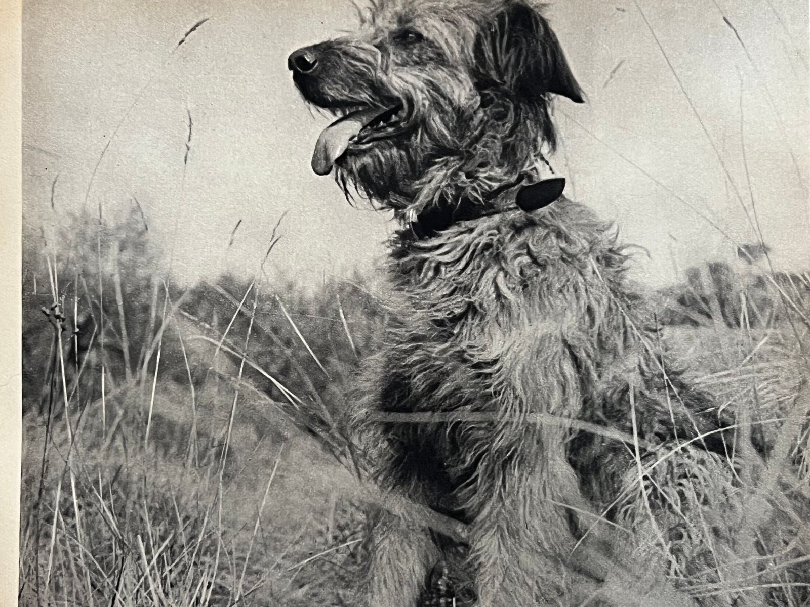Les Vraies Richesses - Jean Giono - 1936 | Parfait exemple de la collaboration entre littérature et photographie dans l'édition française de l'entre-deux-guerres | Aufildeslivres.fr