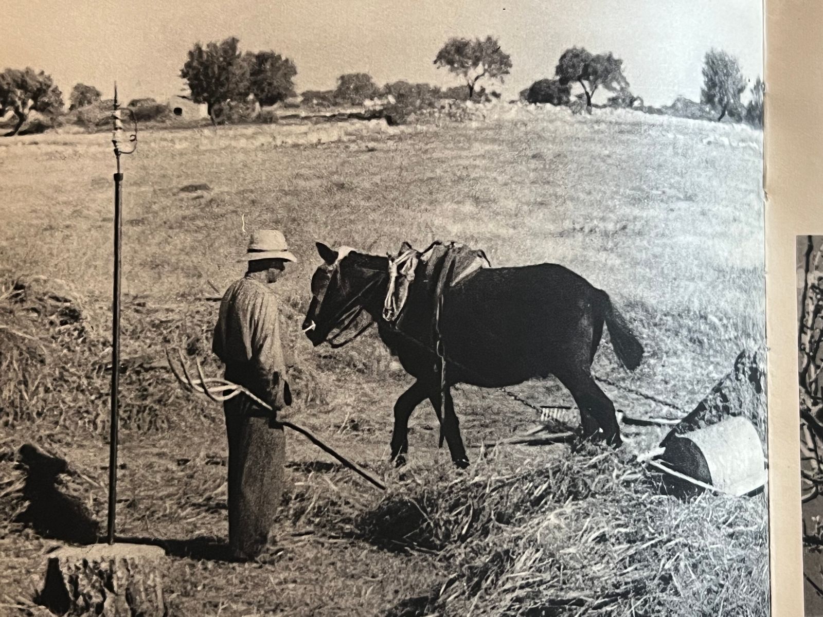 Les Vraies Richesses - Jean Giono - 1936 | Édition originale rarissime tirée à seulement 3000 exemplaires, recherchée par les collectionneurs de Giono | Aufildeslivres.fr