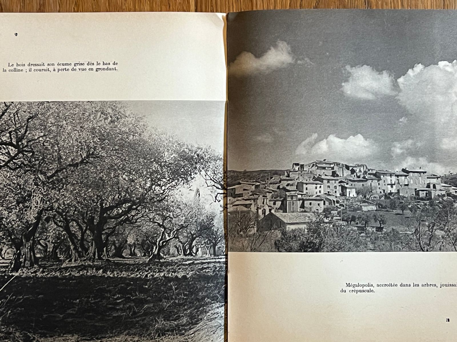 Les Vraies Richesses - Jean Giono - 1936 | Document historique précieux reflétant les préoccupations sociales et environnementales de la période précédant la Seconde Guerre mondiale | Aufildeslivres.fr