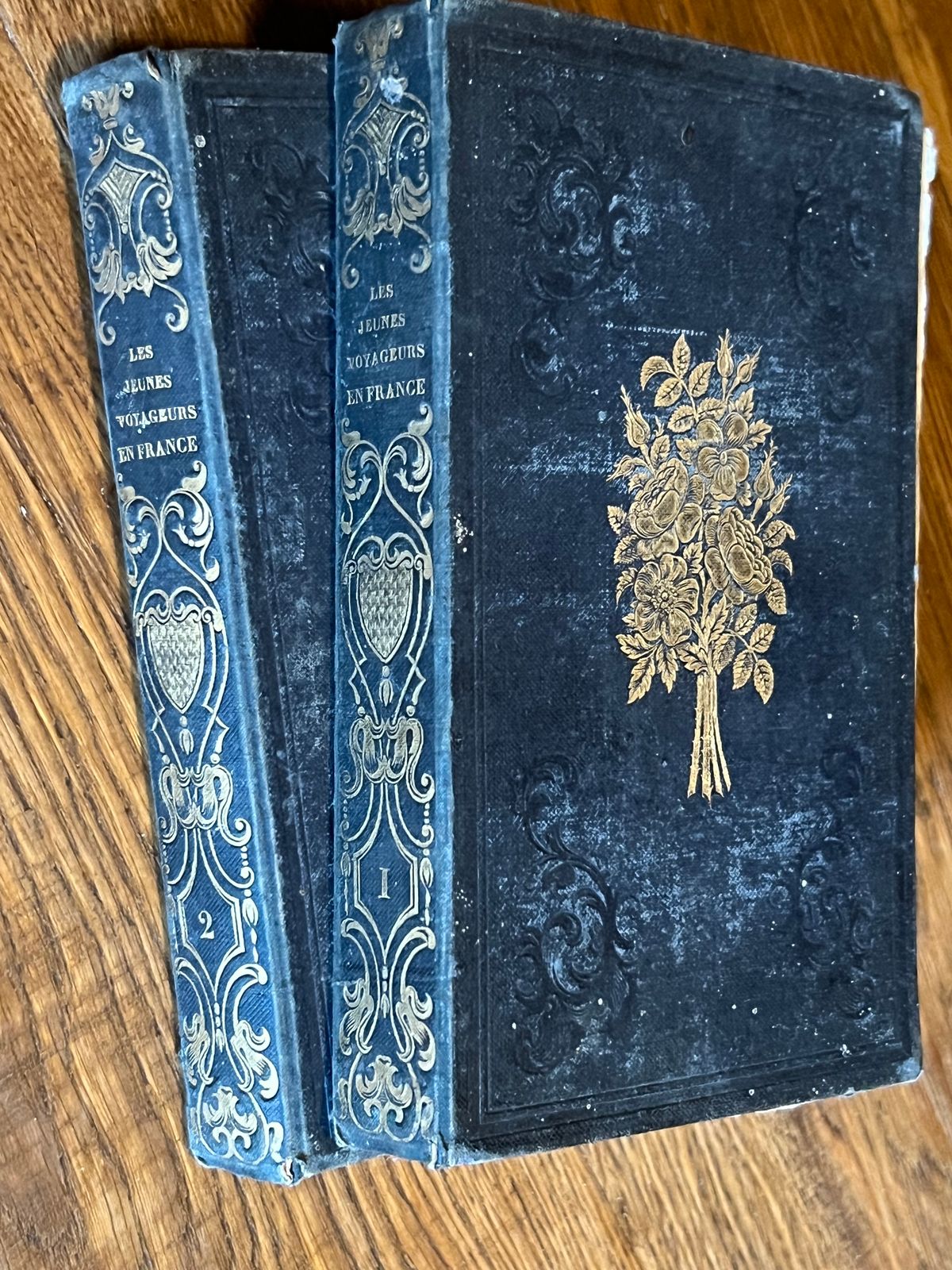 Les Jeunes Voyageurs en France-Victor-Adolphe Malte-Brun